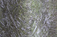 Pencelli fibreglass roof work